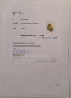 GOLD NUGGET - 3