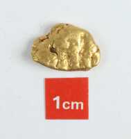 GOLD NUGGET - 2
