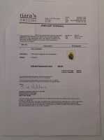 GOLD NUGGET - 3