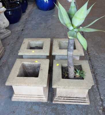 PLANTERS