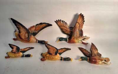 WALL DUCKS