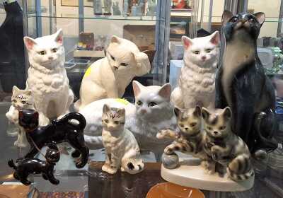 CATS