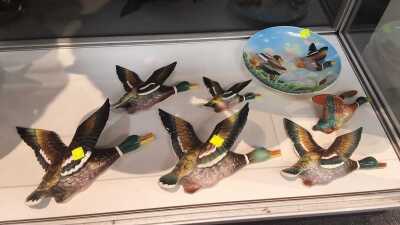 WALL DUCKS