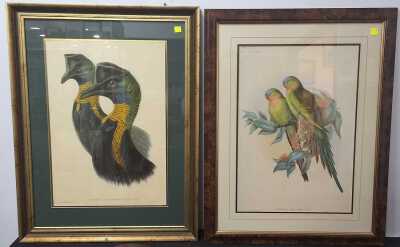 BIRD PRINTS