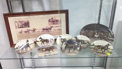 EQUINE COLLECTABLES