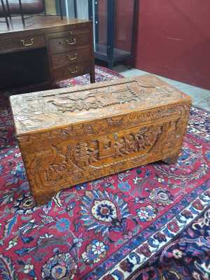 CAMPHORWOOD TRUNK