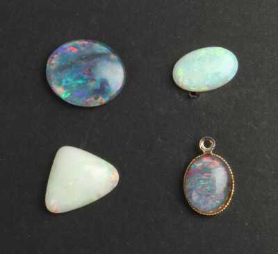 OPALS