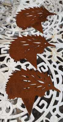 GARDEN ECHIDNAS