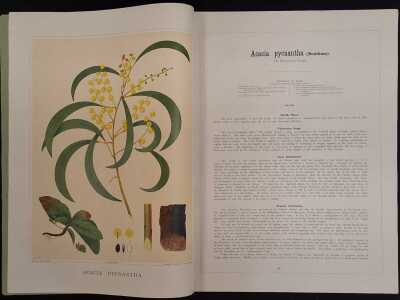 BROWN, J.E.: