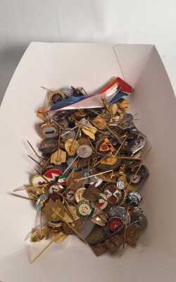 BADGES AND PINS