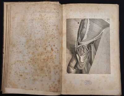 SCARPA, ANTOINE [ANTONIO]: