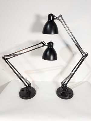 LAMPS