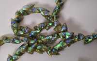 MAIREENER SHELL NECKLACE - 2