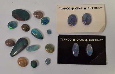 OPALS
