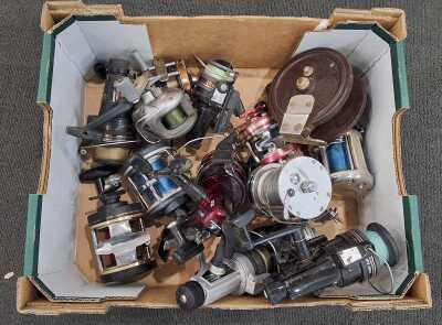 Fishing Reels