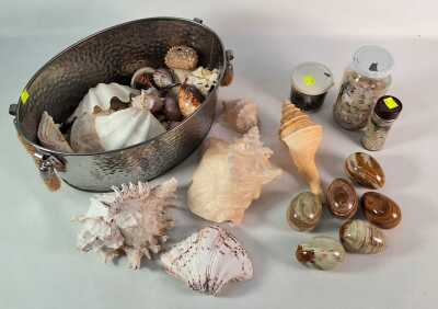 Rocks & Shells