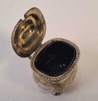 SILVER CONDIMENT - 2