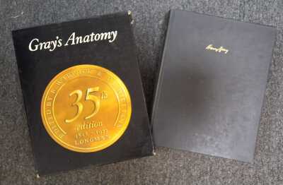 Gray'S Anatomy
