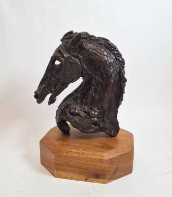 HORSE BUST
