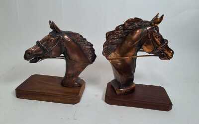 Bronze Bookends