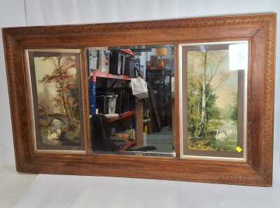 Swans Mirror