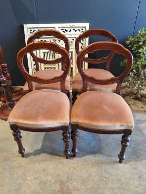Dining Chairs