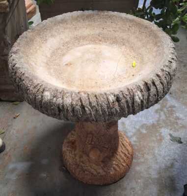 Bird Bath