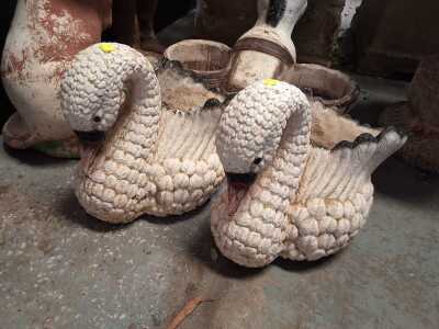 Concrete Swans
