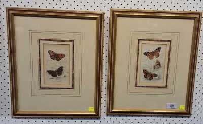 Butterfly Prints