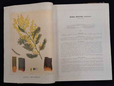 BROWN, J.E.: