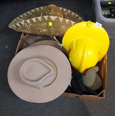 Costume Hats