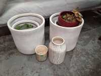 POTS AND PLANTERS