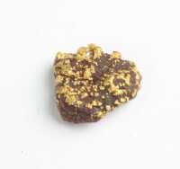 GOLD NUGGET