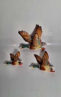 Wall Ducks