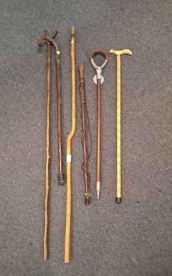 Walking Sticks