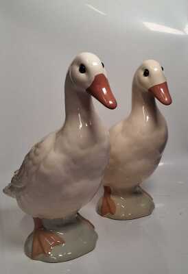Duck Decor