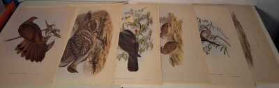 John Gould