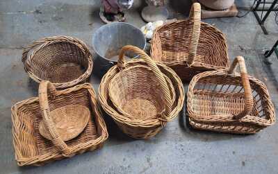 495 · BASKET LOT