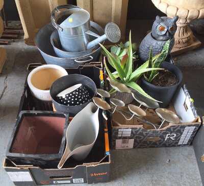 Garden Lot
