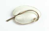 SILVER BROOCH