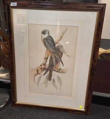 1195 · GOULD PRINT