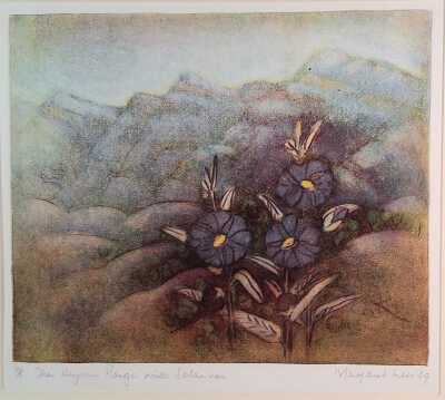 Margaret Lees (Australia)