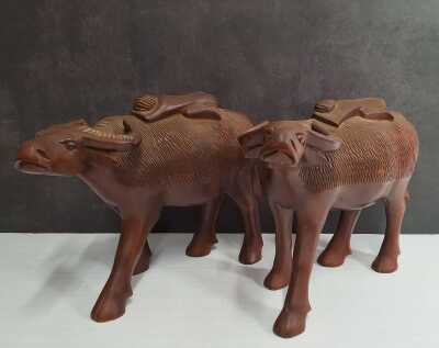 1381 · TIMBER BUFFALO