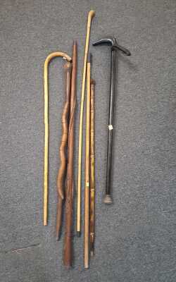 1446 · WALKING STICKS