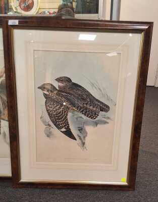 1451 · GOULD PRINT