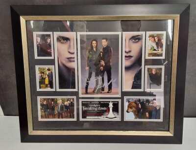 Twilight: Breaking Dawn Pt 2 Frame