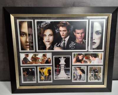 Twilight: Breaking Dawn Pt1 Frame