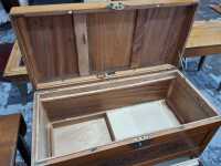 CAMPHORWOOD TRUNK - 2