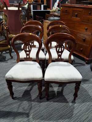 Dining Chairs