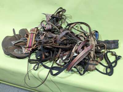 Horse Harnesses